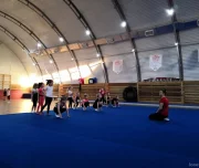 школа акробатики и чир-спорта дельта изображение 8 на проекте lovefit.ru
