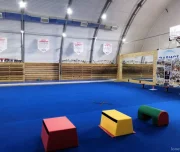 школа акробатики и чир-спорта дельта изображение 1 на проекте lovefit.ru